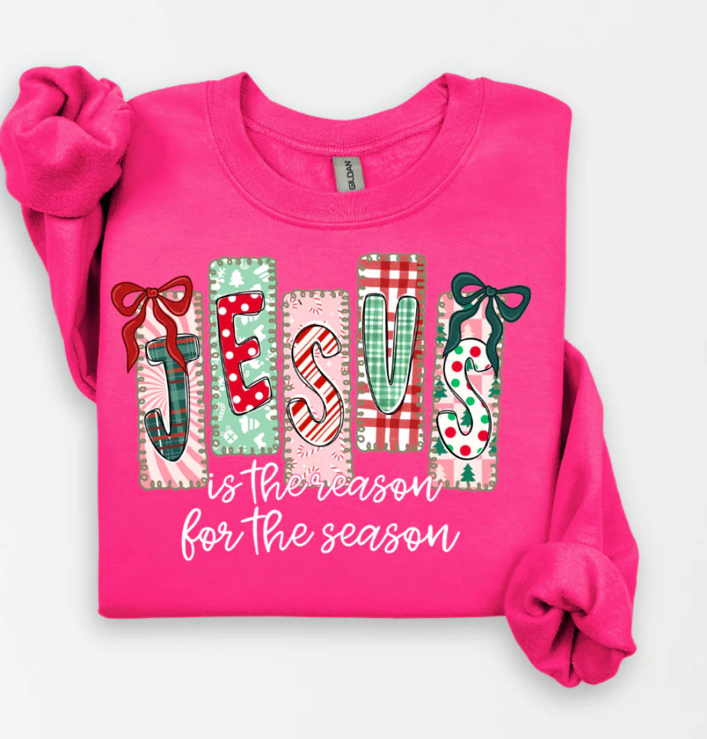 Jesus is The Reason Sweatshirt - Final Sale
